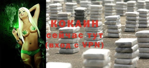 дмт Армянск